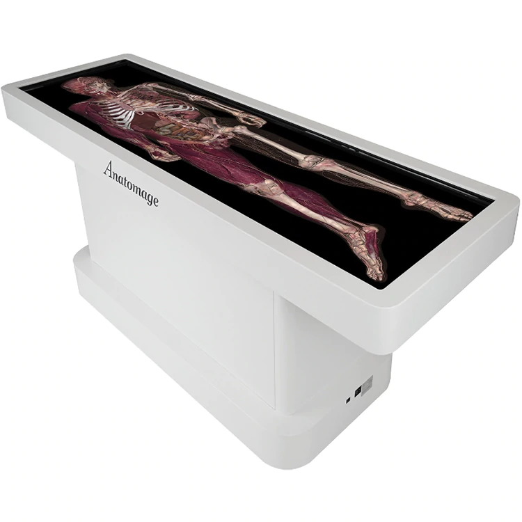 The Anatomage Table