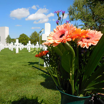 flowers in cemetary