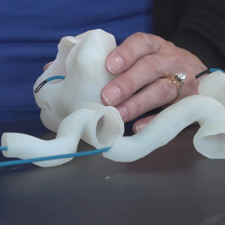   A Medtronic team member uses a 3D printed heart to test a new medical tool.